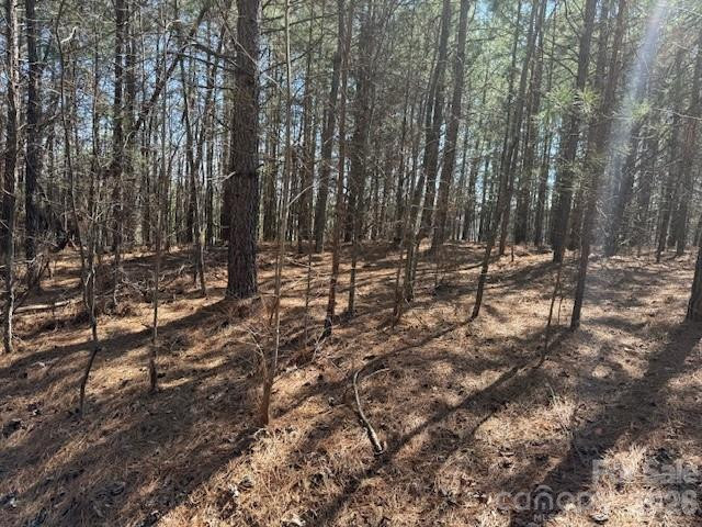 00 Hope Drive - Photo 16