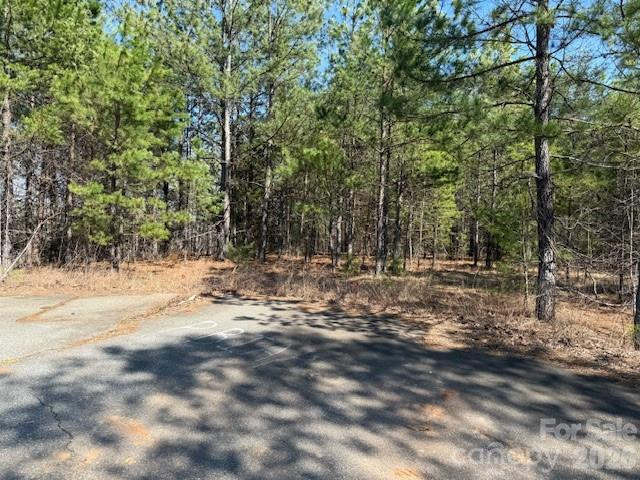 00 Hope Drive - Photo 4