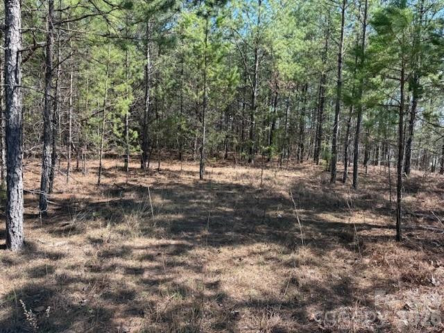 00 Hope Drive - Photo 5