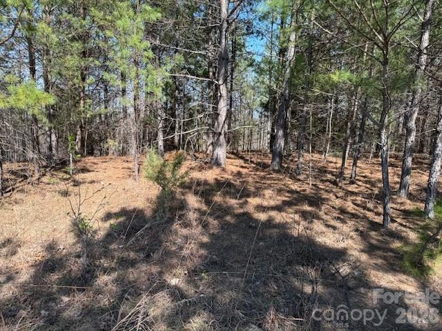 00 Hope Drive - Photo 6