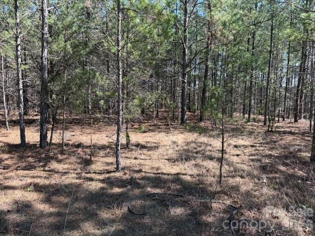 00 Hope Drive - Photo 7