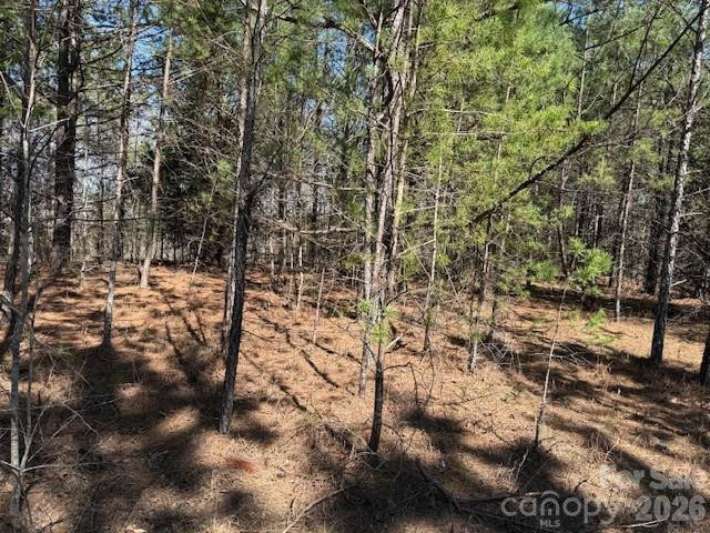 00 Hope Drive - Photo 8