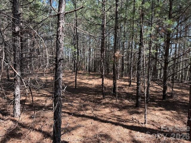 00 Hope Drive - Photo 9