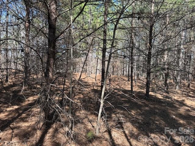 00 Hope Drive - Photo 10