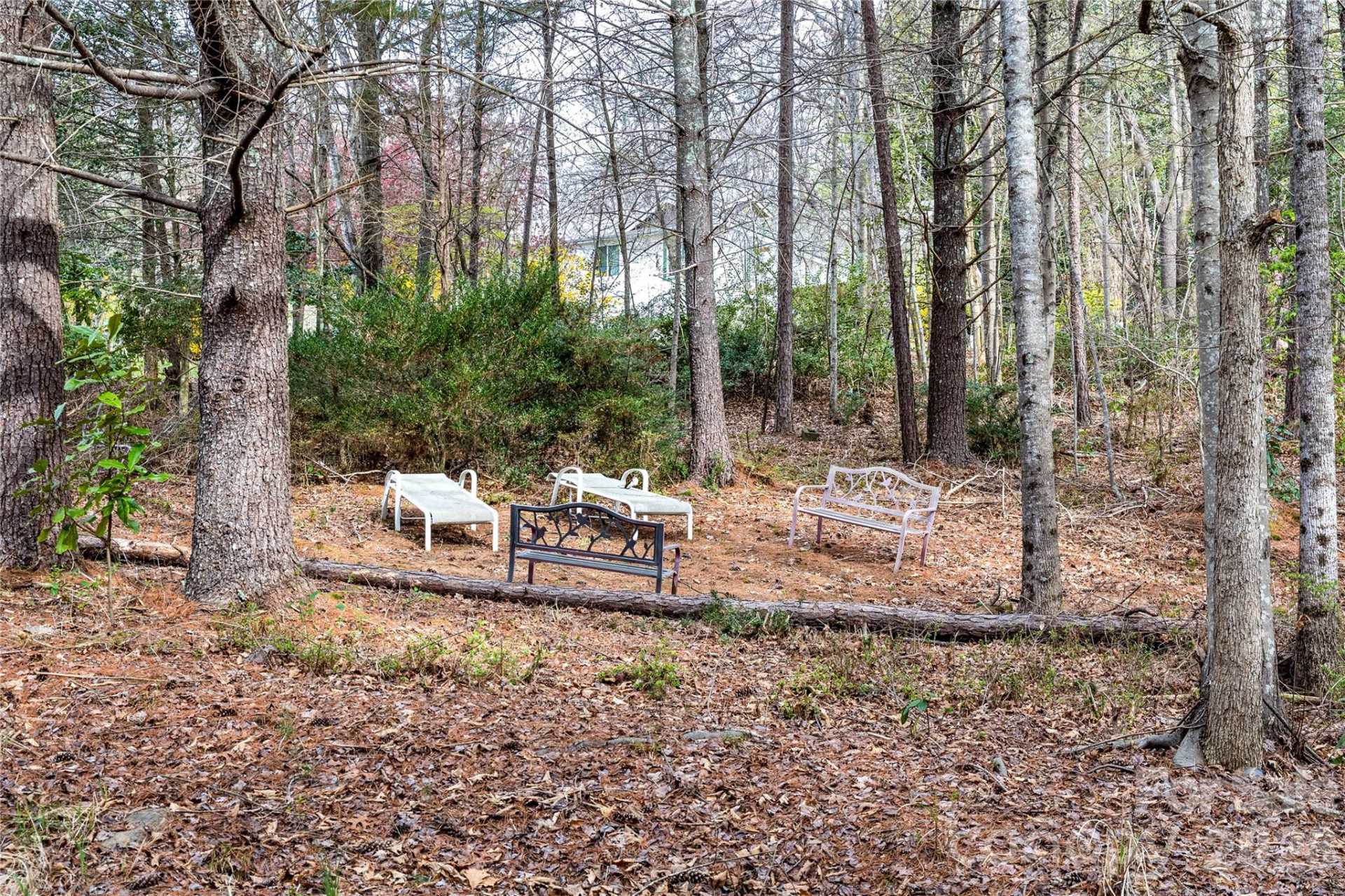 4100 Fork Street - Photo 23