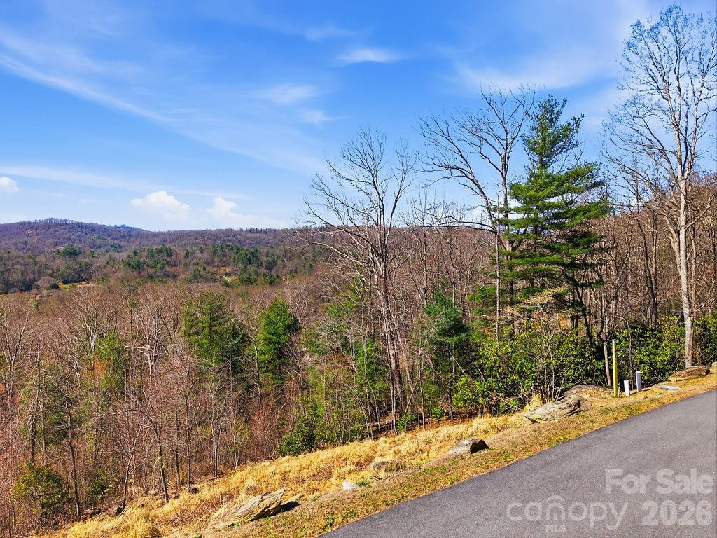 367 Curtain Bluff - Photo 11