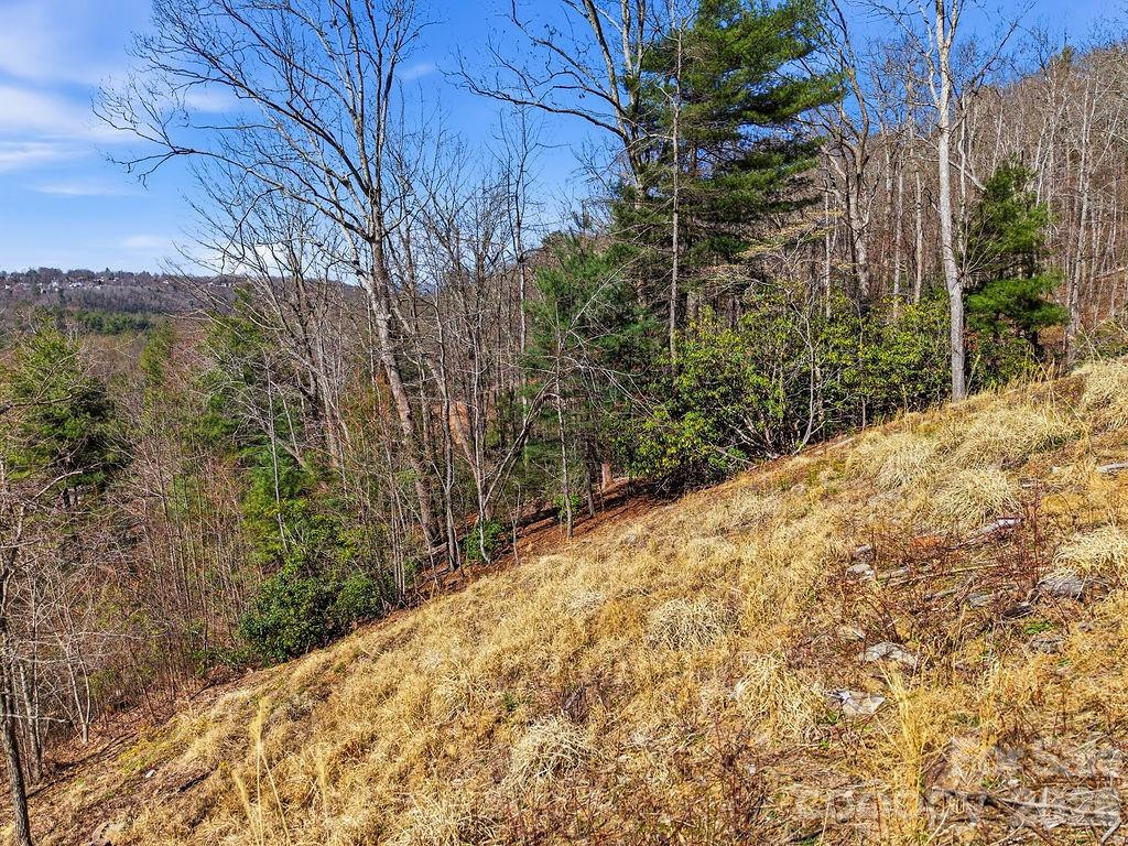 367 Curtain Bluff - Photo 12