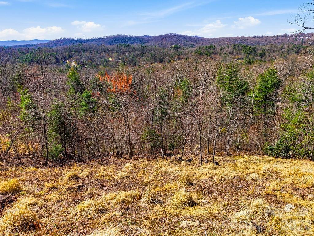 367 Curtain Bluff - Photo 13