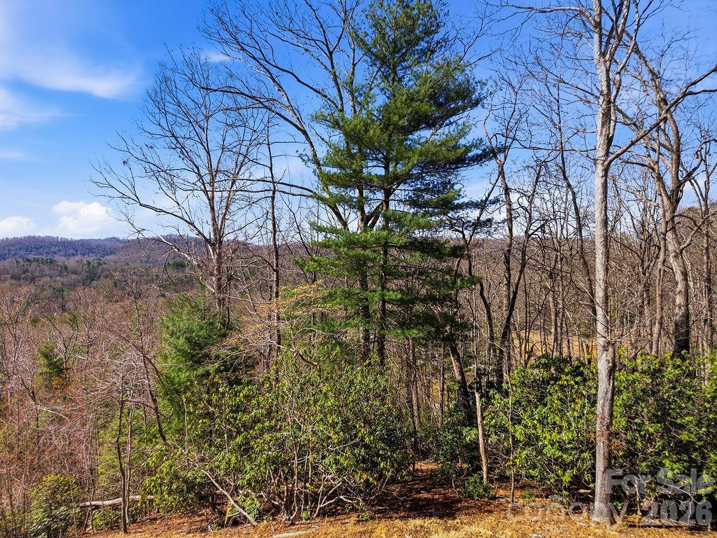 367 Curtain Bluff - Photo 15