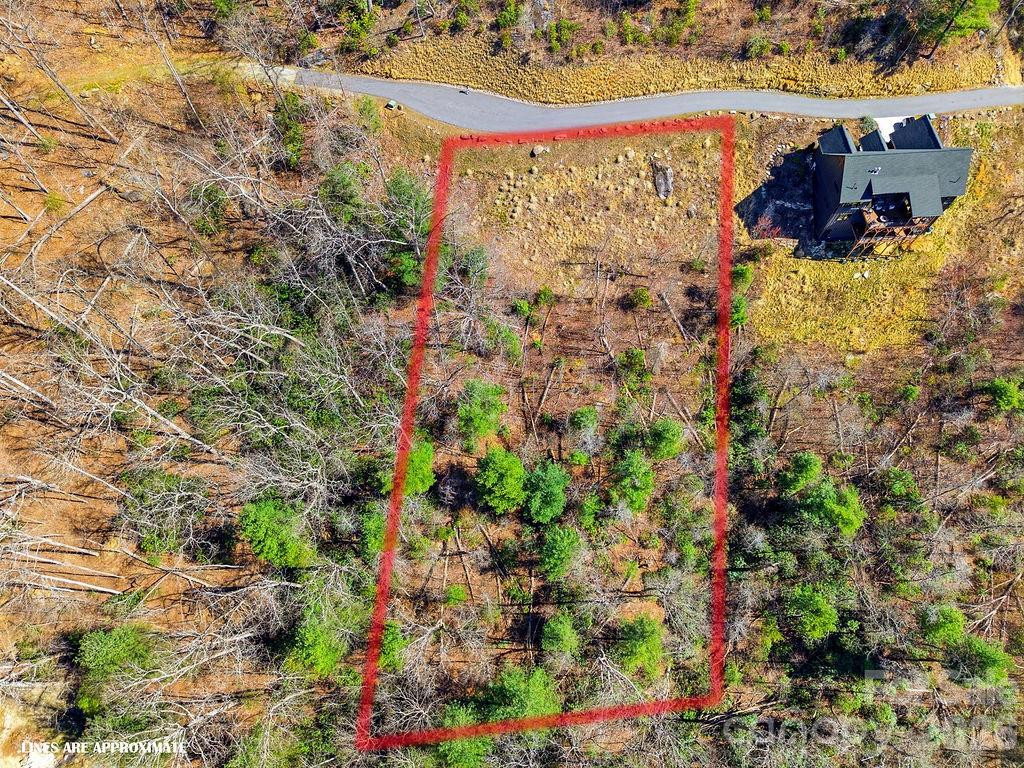 367 Curtain Bluff - Photo 3