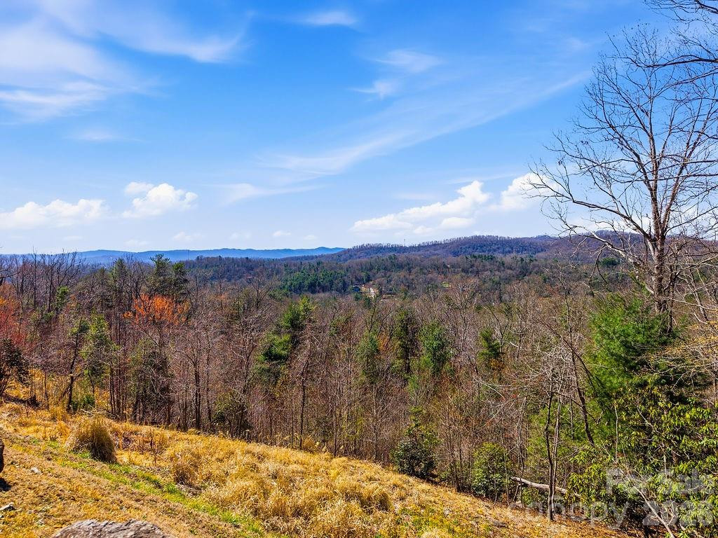 367 Curtain Bluff - Photo 8