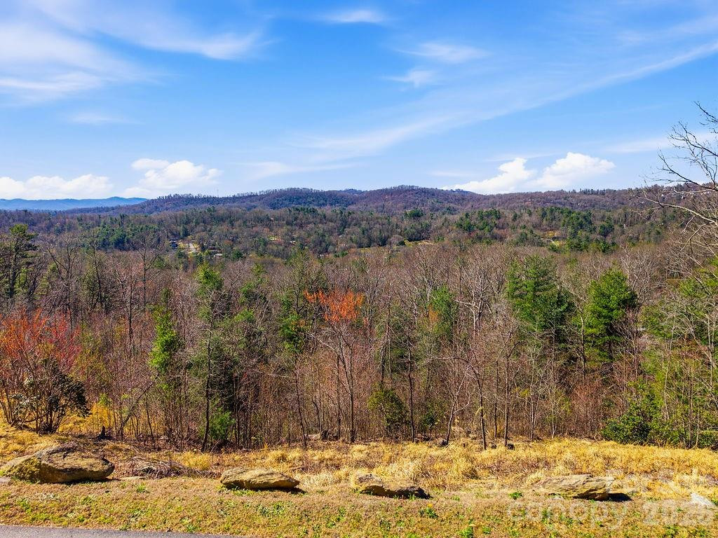 367 Curtain Bluff - Photo 9