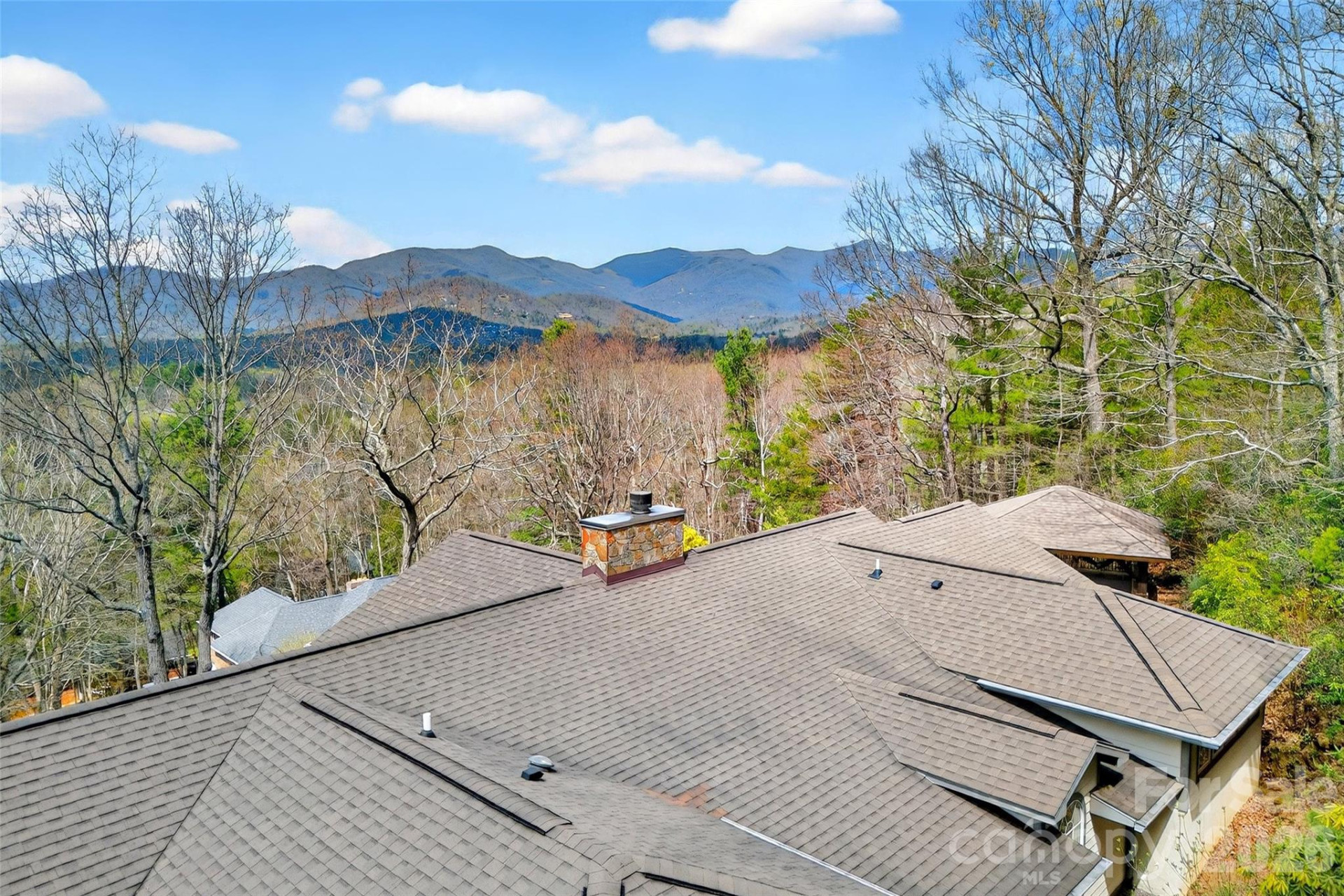 3 Tree Top Place - Photo 48