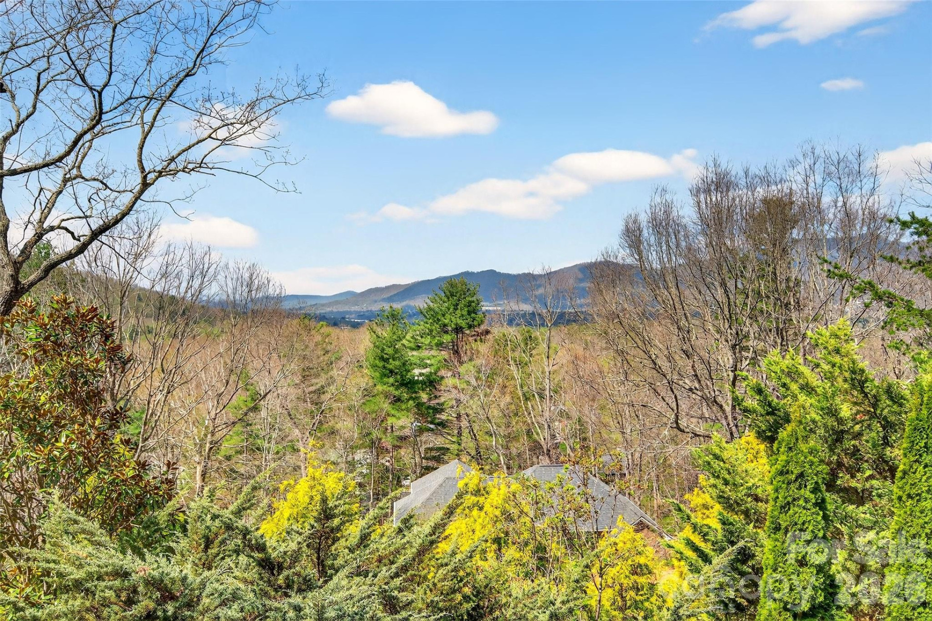 3 Tree Top Place - Photo 7