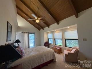 19 Lookout Loop - Photo 16