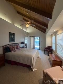 19 Lookout Loop - Photo 17