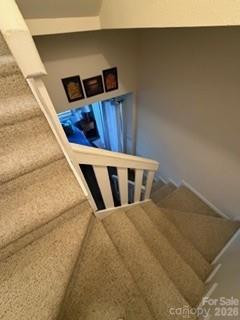 19 Lookout Loop - Photo 25