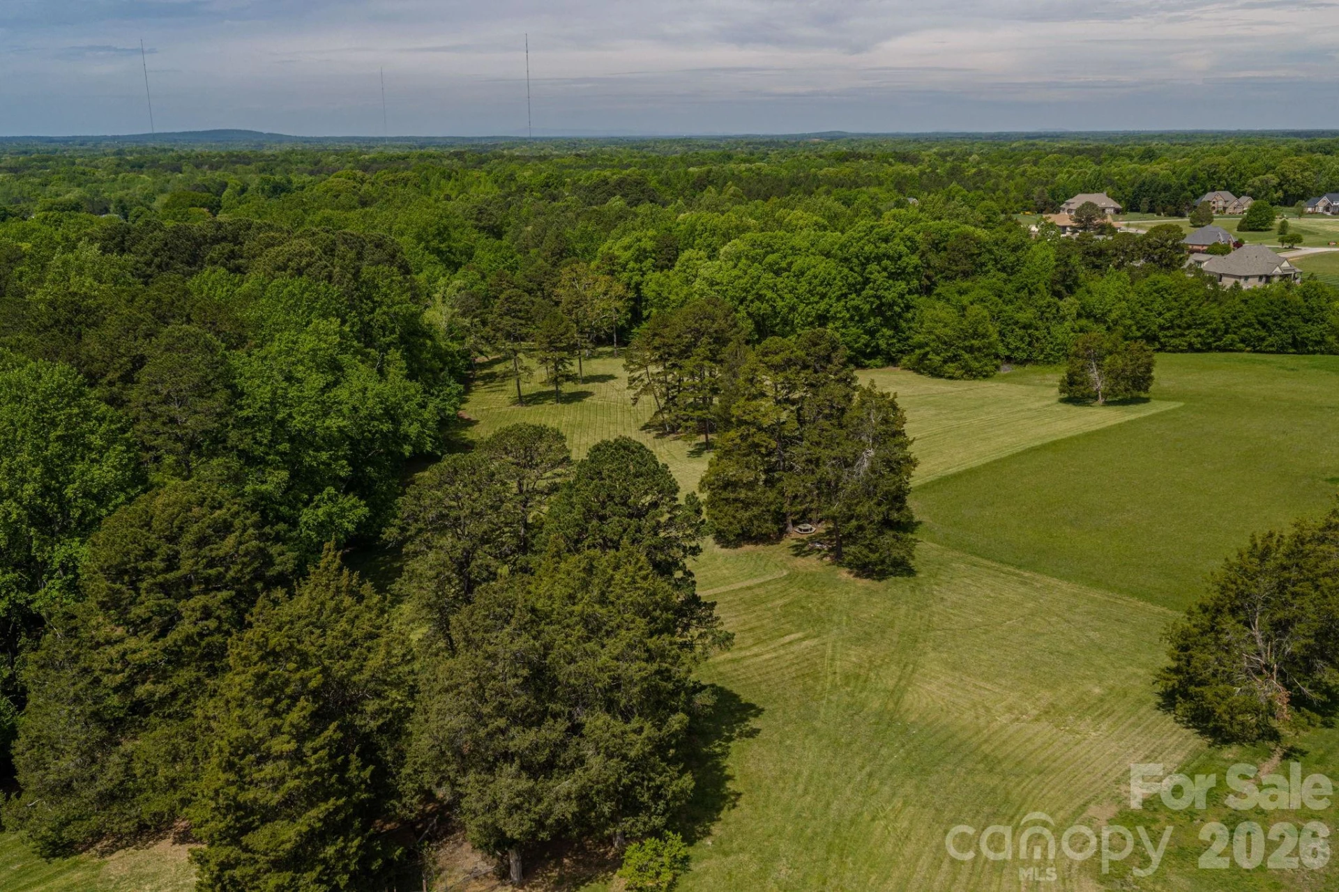 5309 Hickory Grove Road - Photo 4