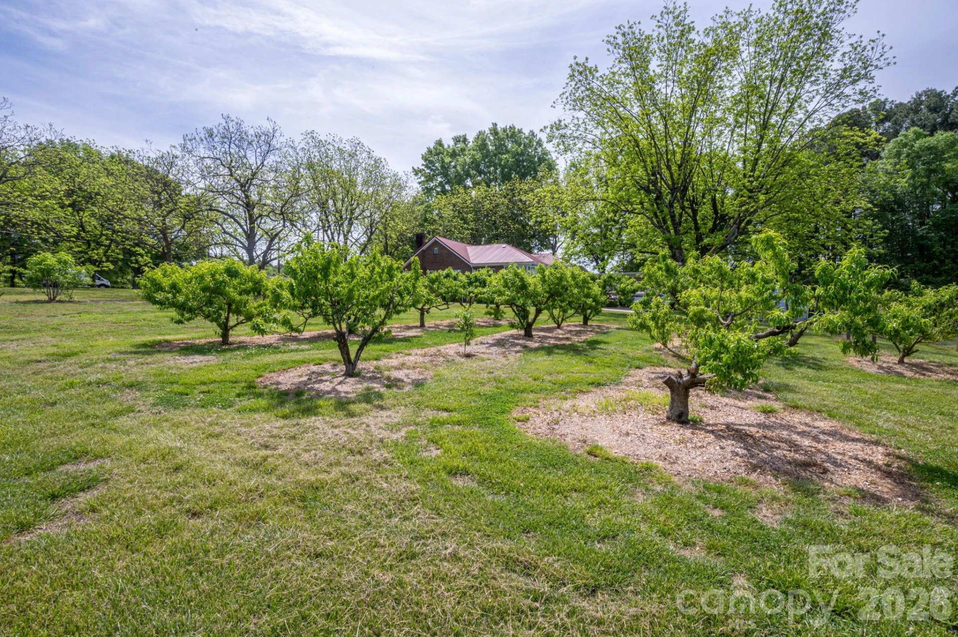 5309 Hickory Grove Road - Photo 38
