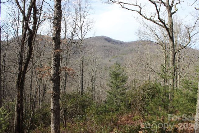 Lots 82 & 83 Waterdance Drive, Tuckasegee, NC, 28783