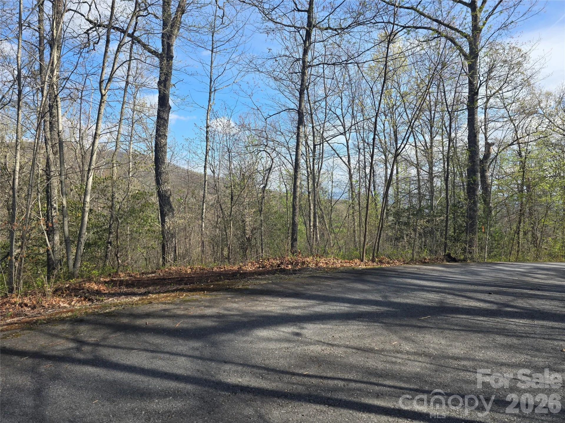 Lots 82 & 83 Waterdance Drive - Photo 2