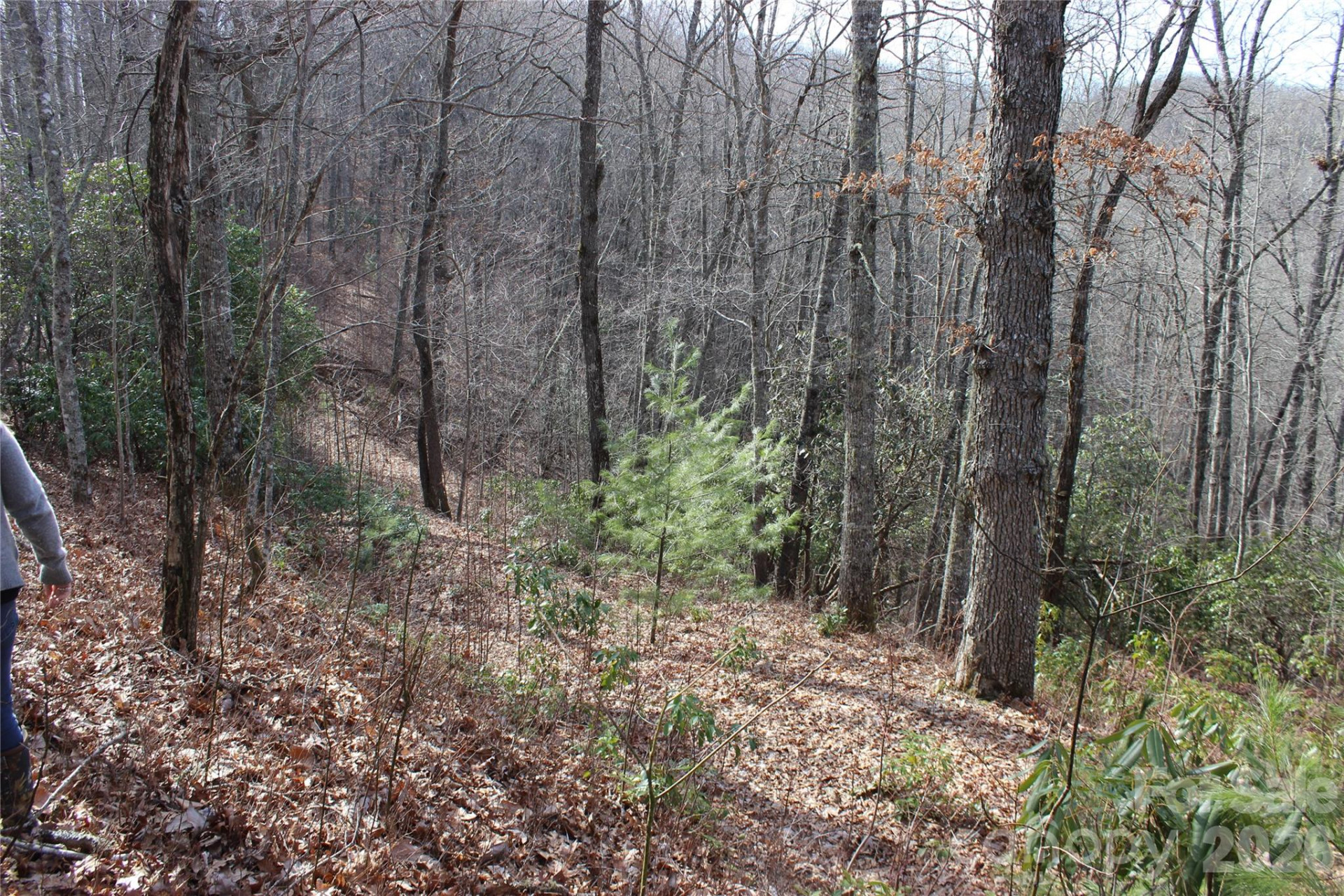 Lots 82 & 83 Waterdance Drive - Photo 11