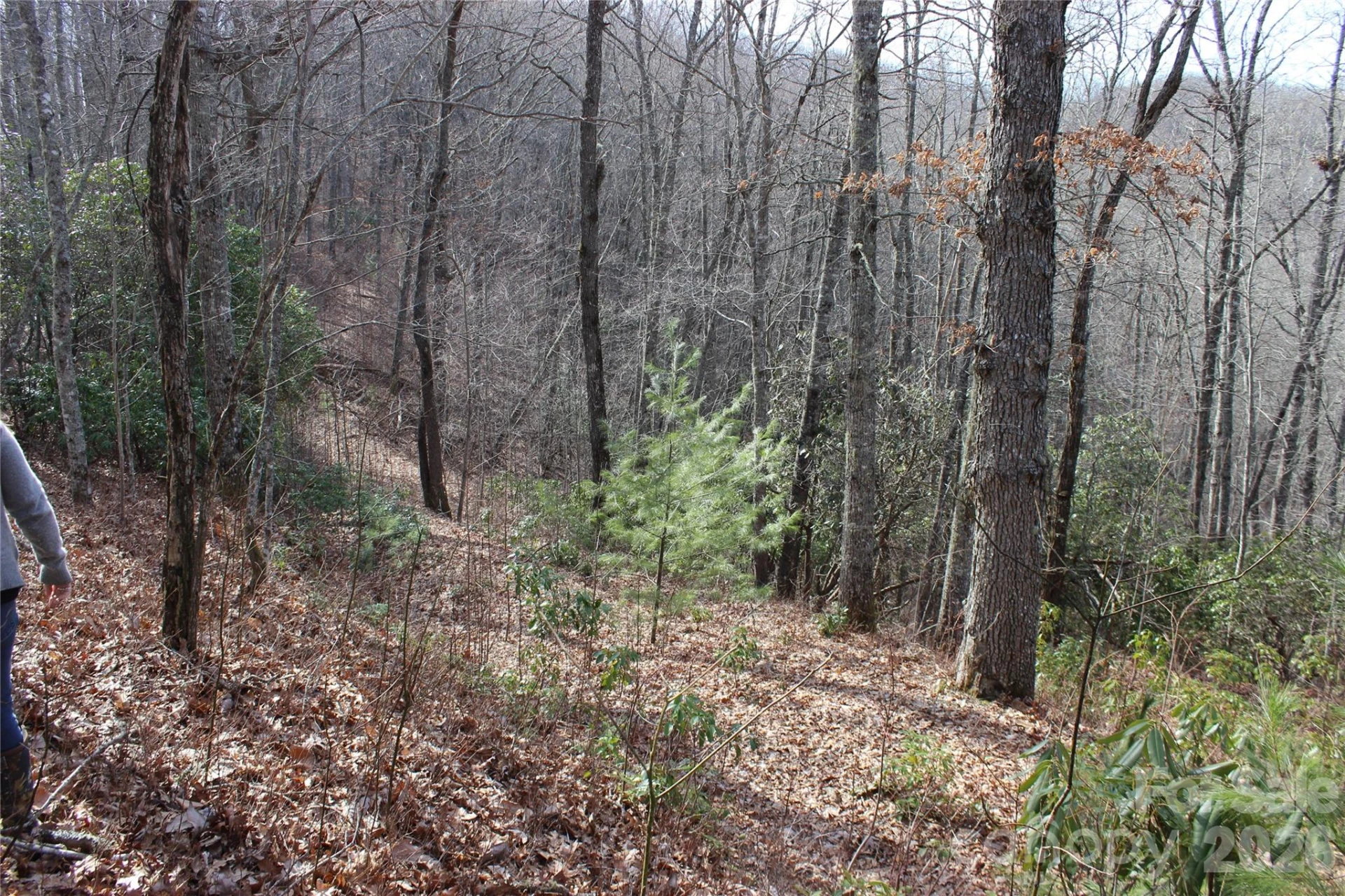 Lots 82 & 83 Waterdance Drive - Photo 11