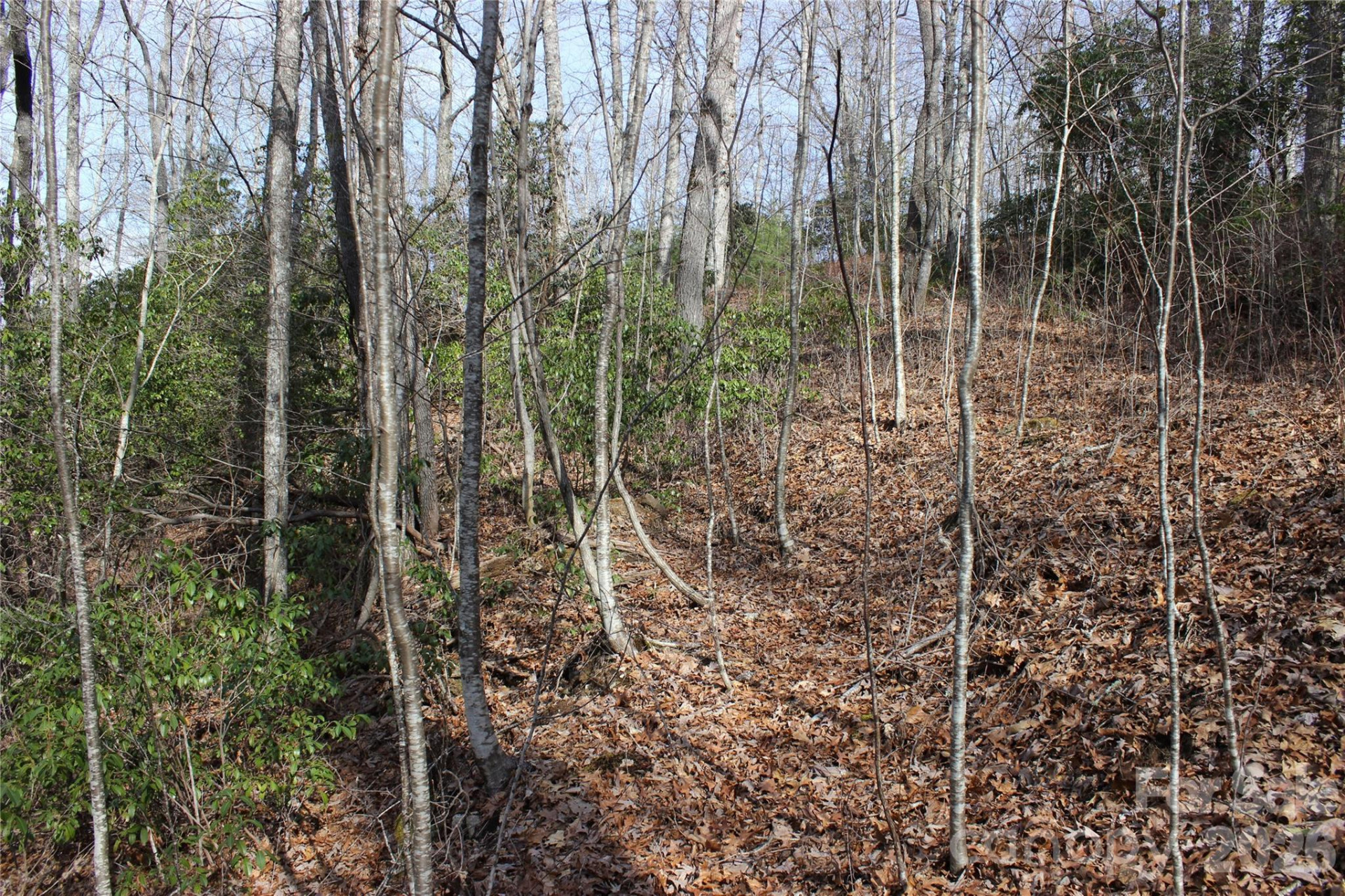 Lots 82 & 83 Waterdance Drive - Photo 12