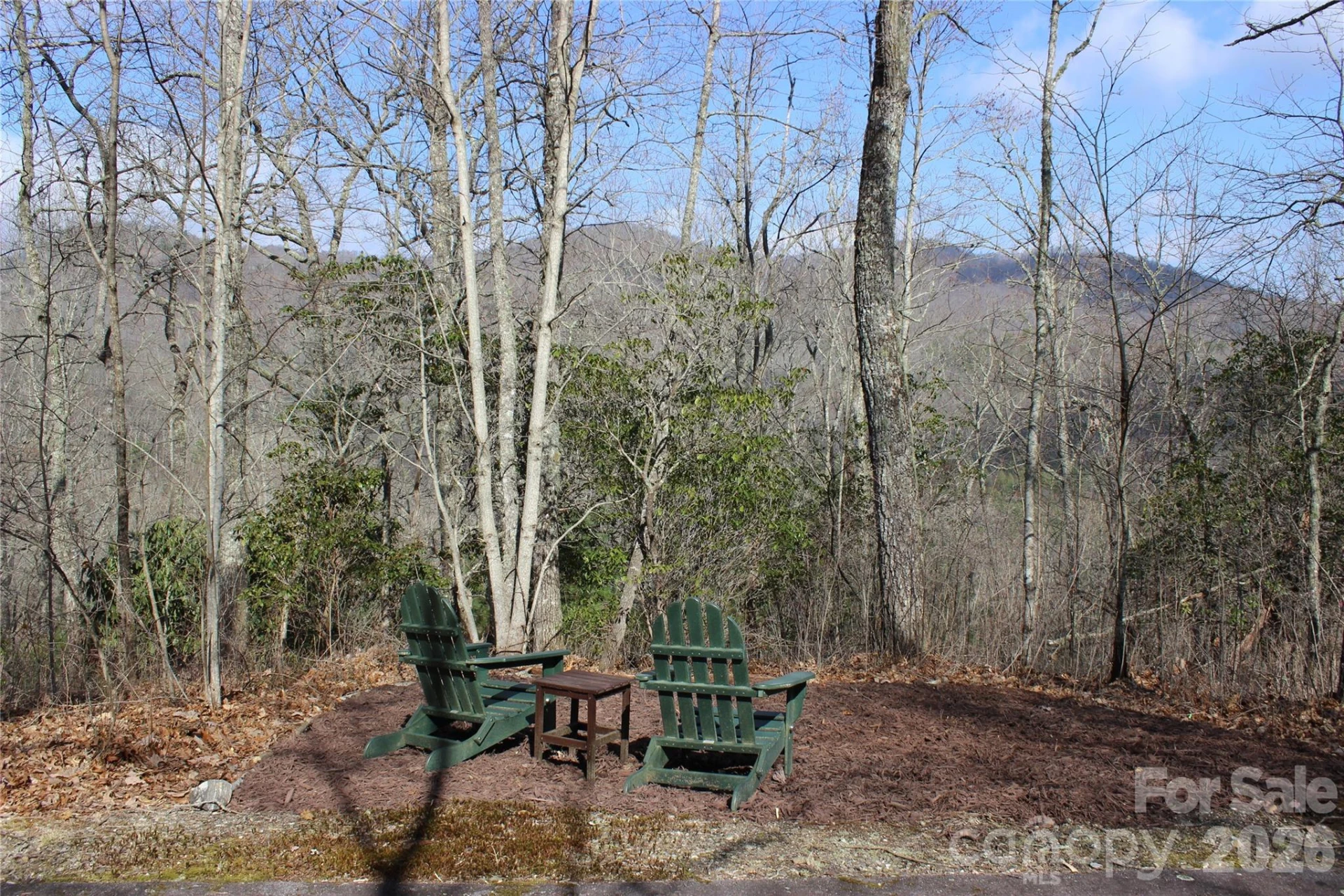Lots 82 & 83 Waterdance Drive - Photo 3