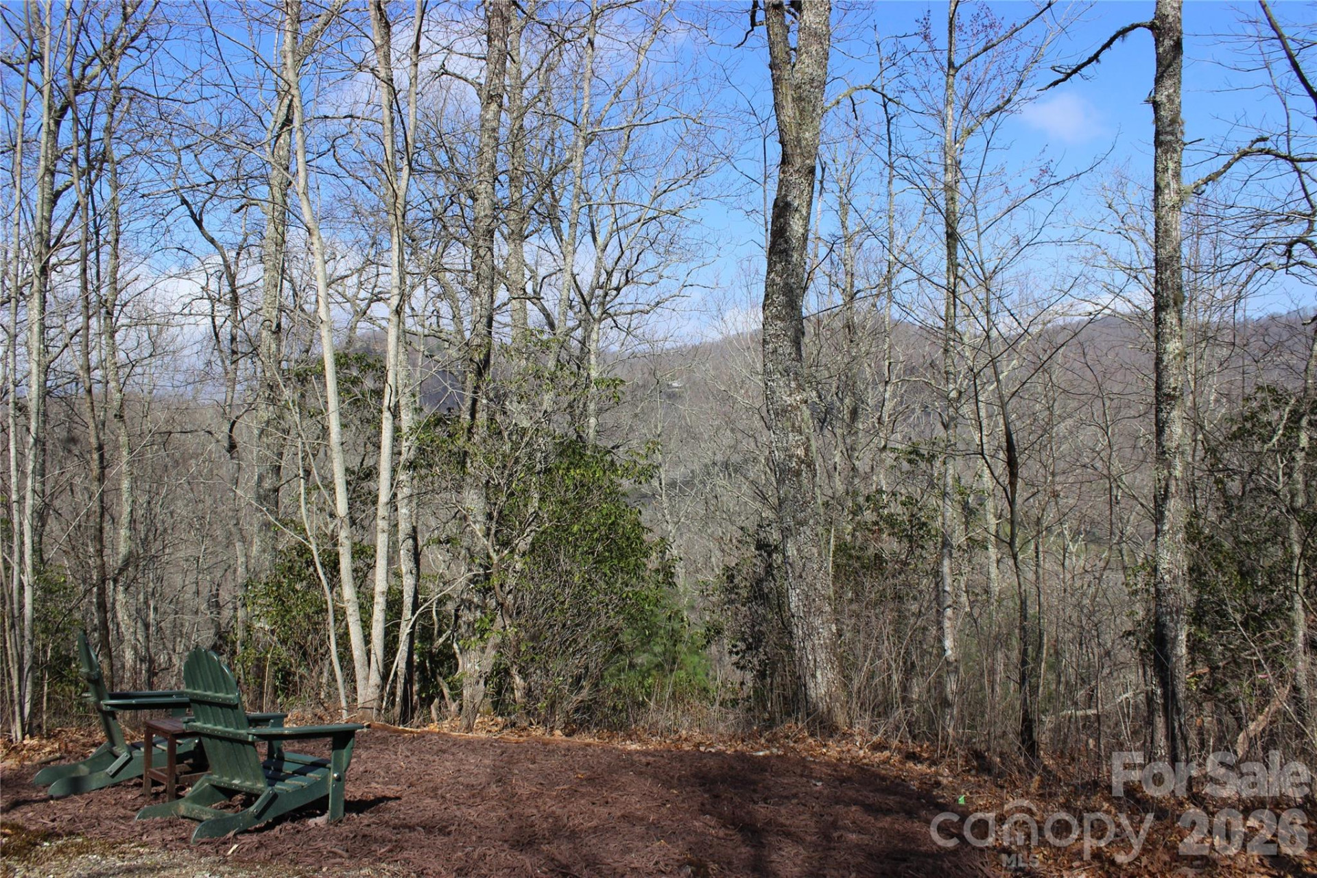 Lots 82 & 83 Waterdance Drive - Photo 4