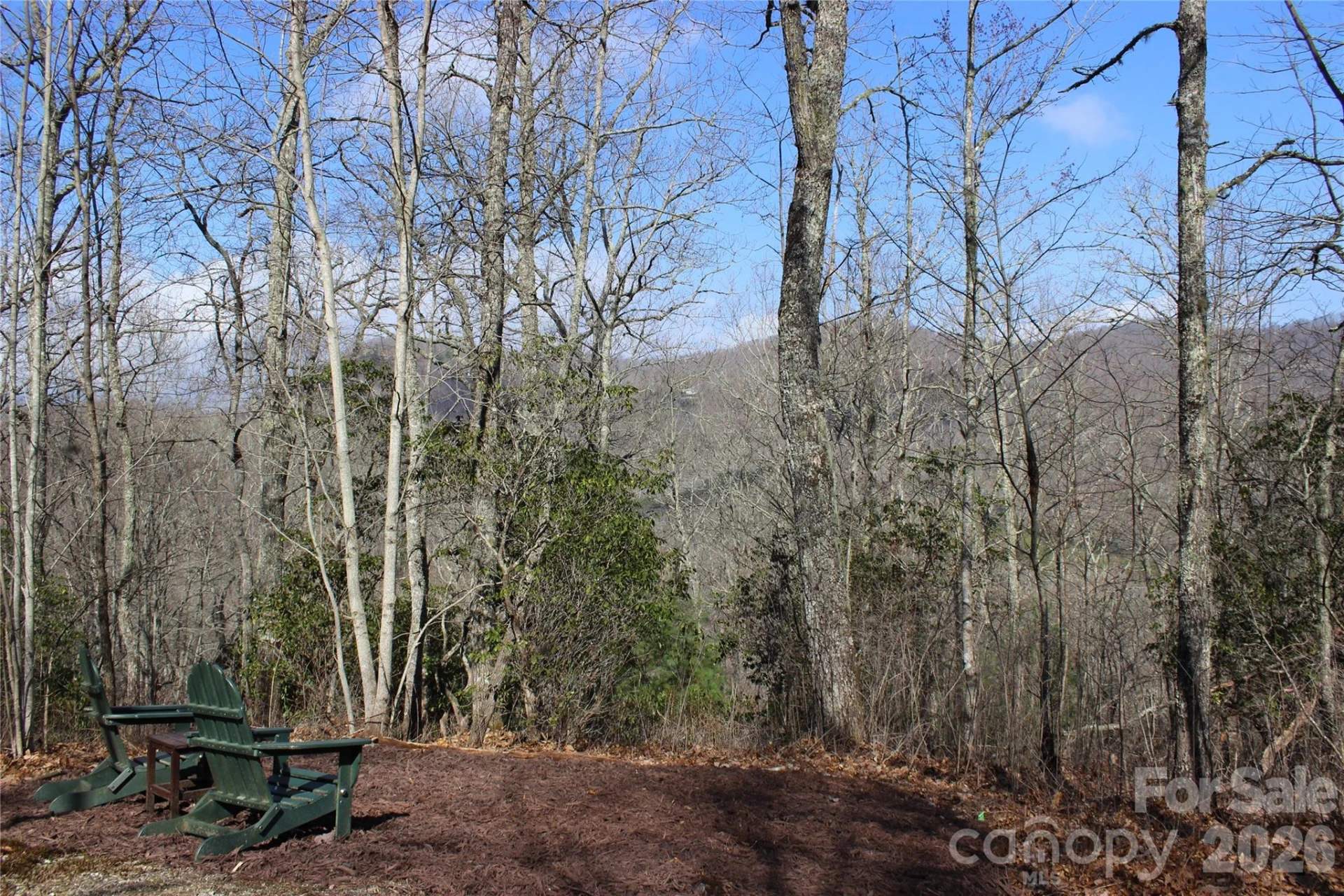Lots 82 & 83 Waterdance Drive - Photo 4