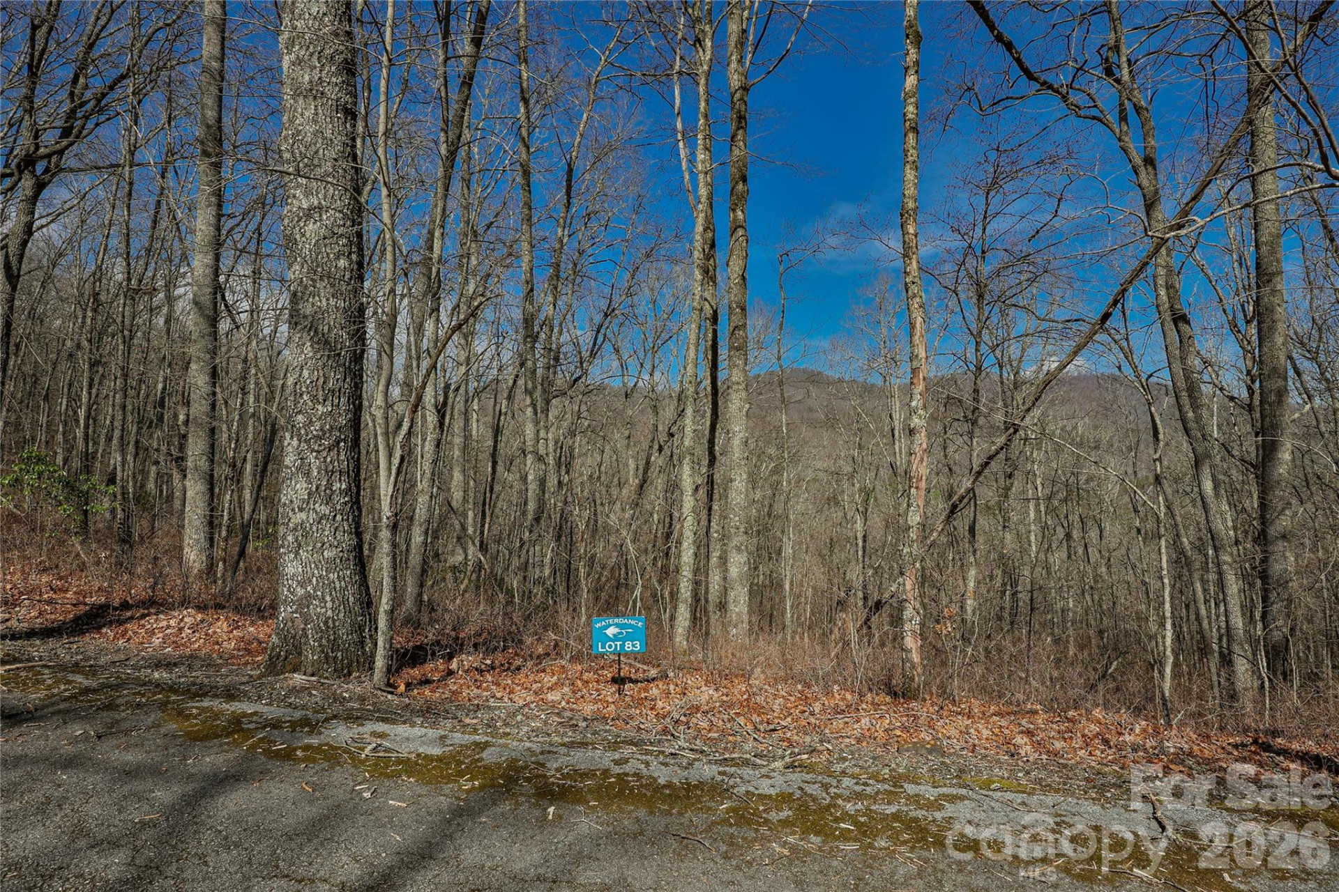 Lots 82 & 83 Waterdance Drive - Photo 5