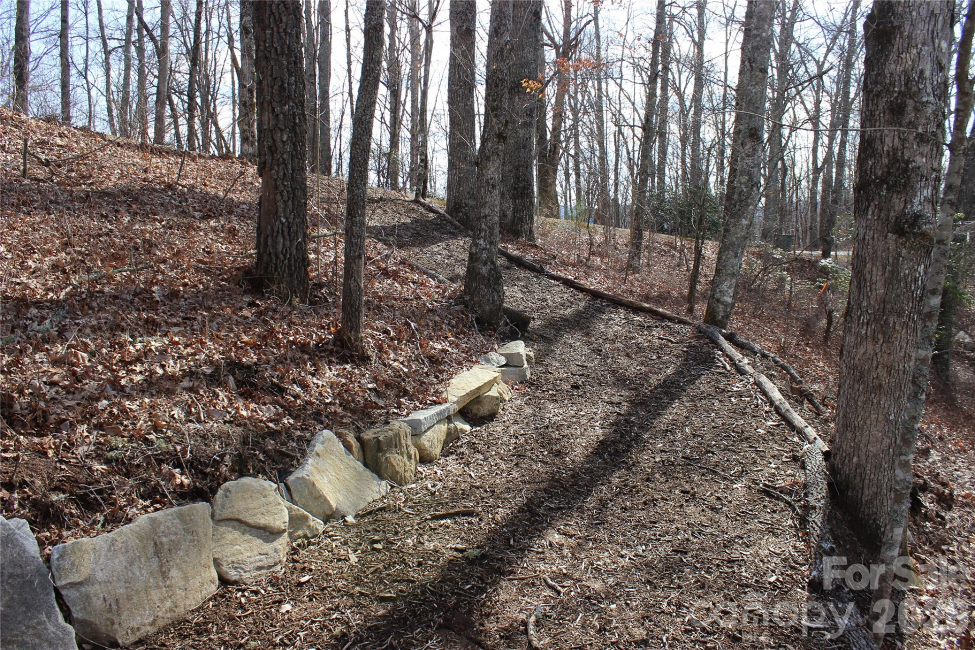 Lots 82 & 83 Waterdance Drive - Photo 7