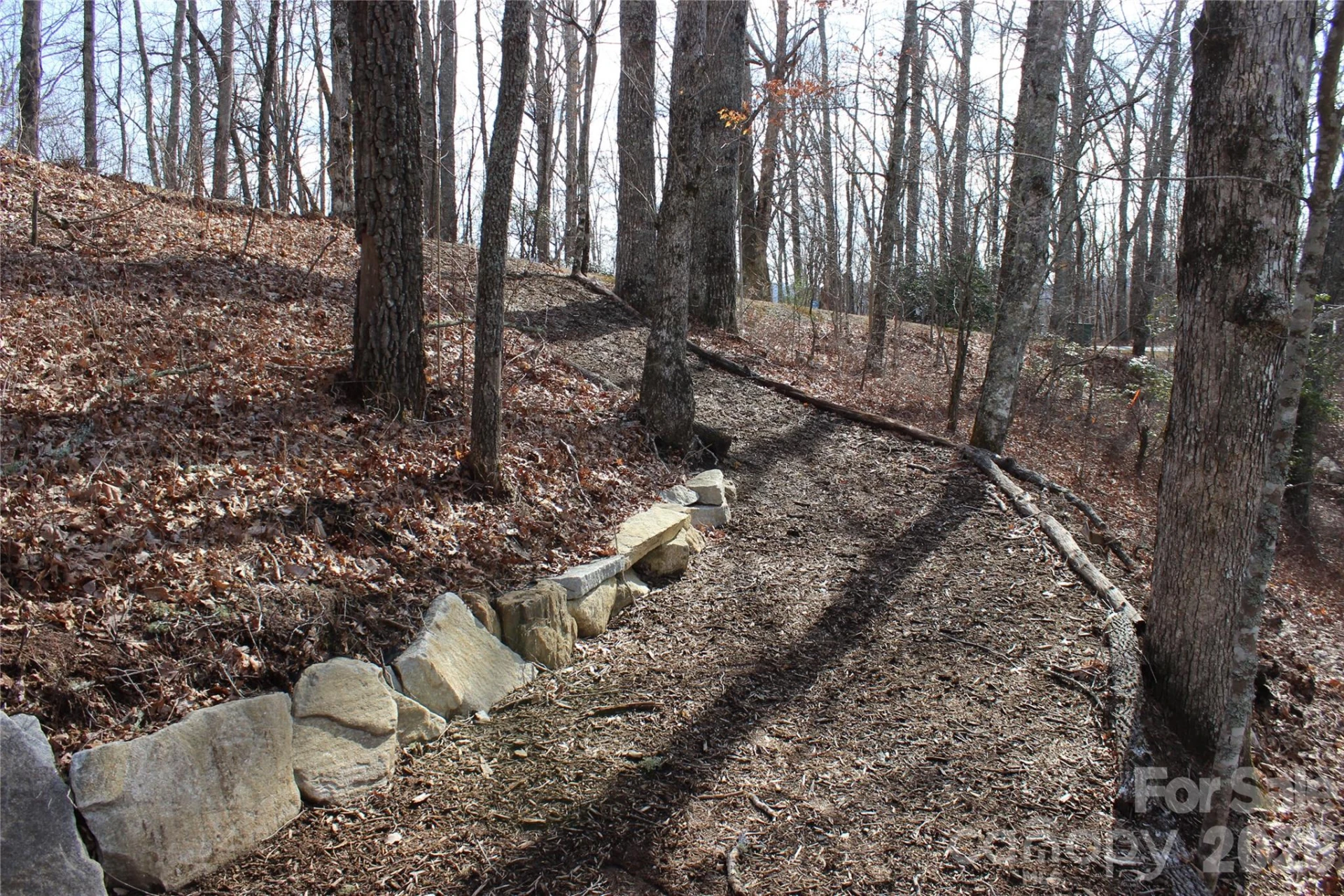 Lots 82 & 83 Waterdance Drive - Photo 7