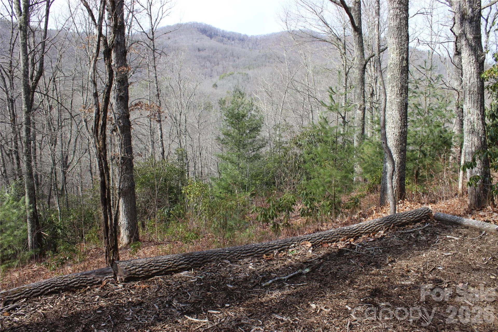 Lots 82 & 83 Waterdance Drive - Photo 8