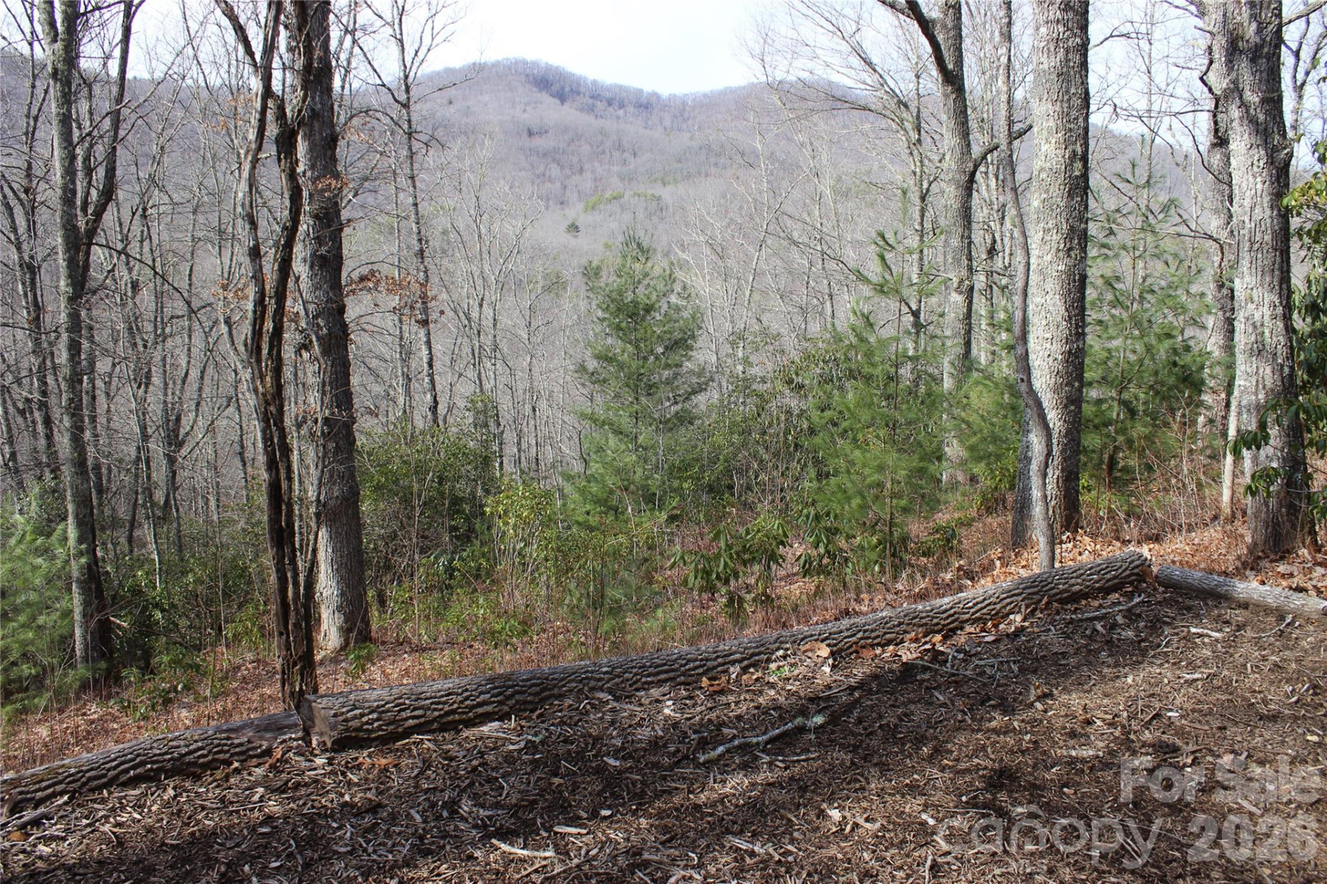 Lots 82 & 83 Waterdance Drive - Photo 9