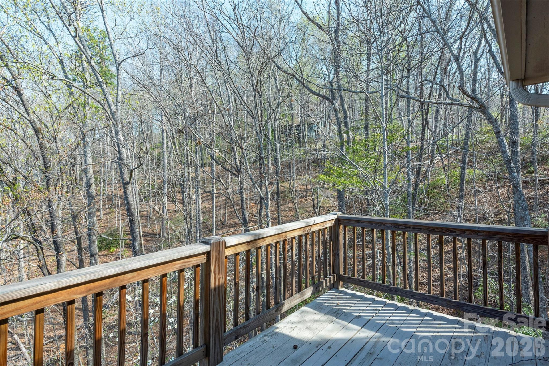 145 White Pine Drive - Photo 29