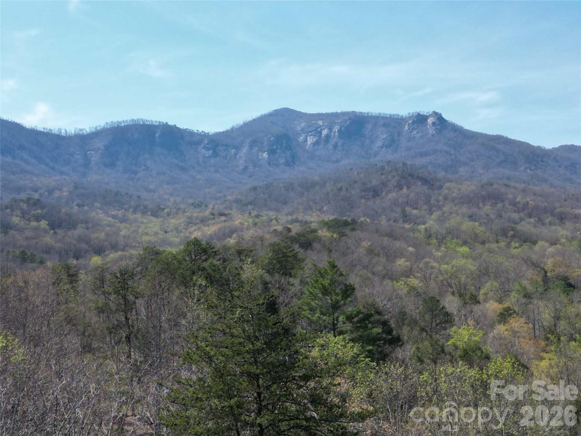 145 White Pine Drive - Photo 4