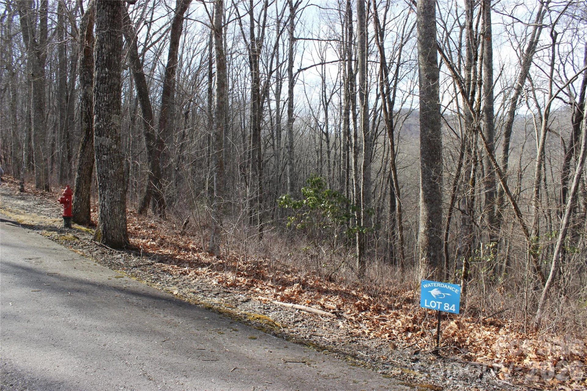 Lot 84 Waterdance Drive - Photo 2