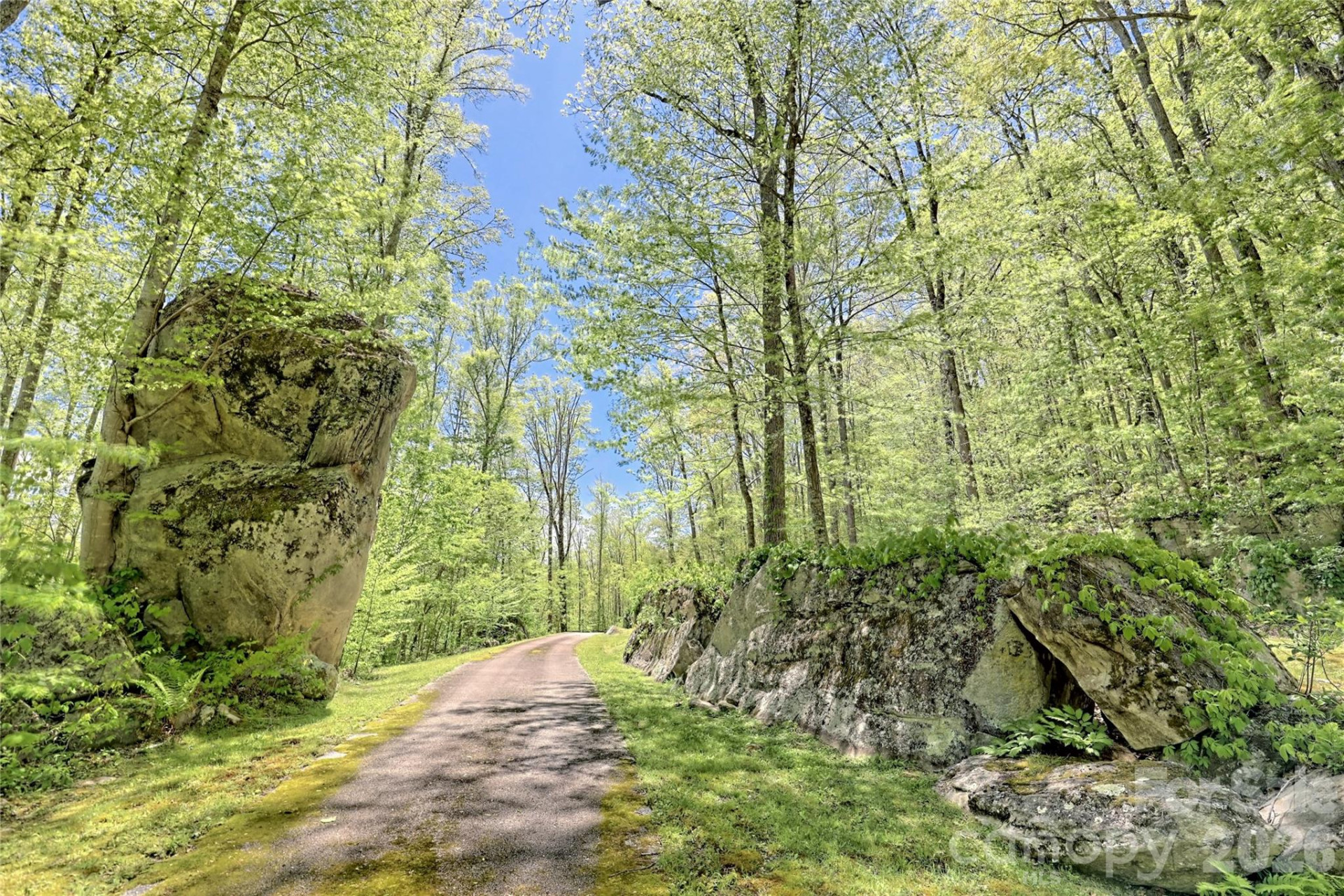 Lot 84 Waterdance Drive - Photo 15