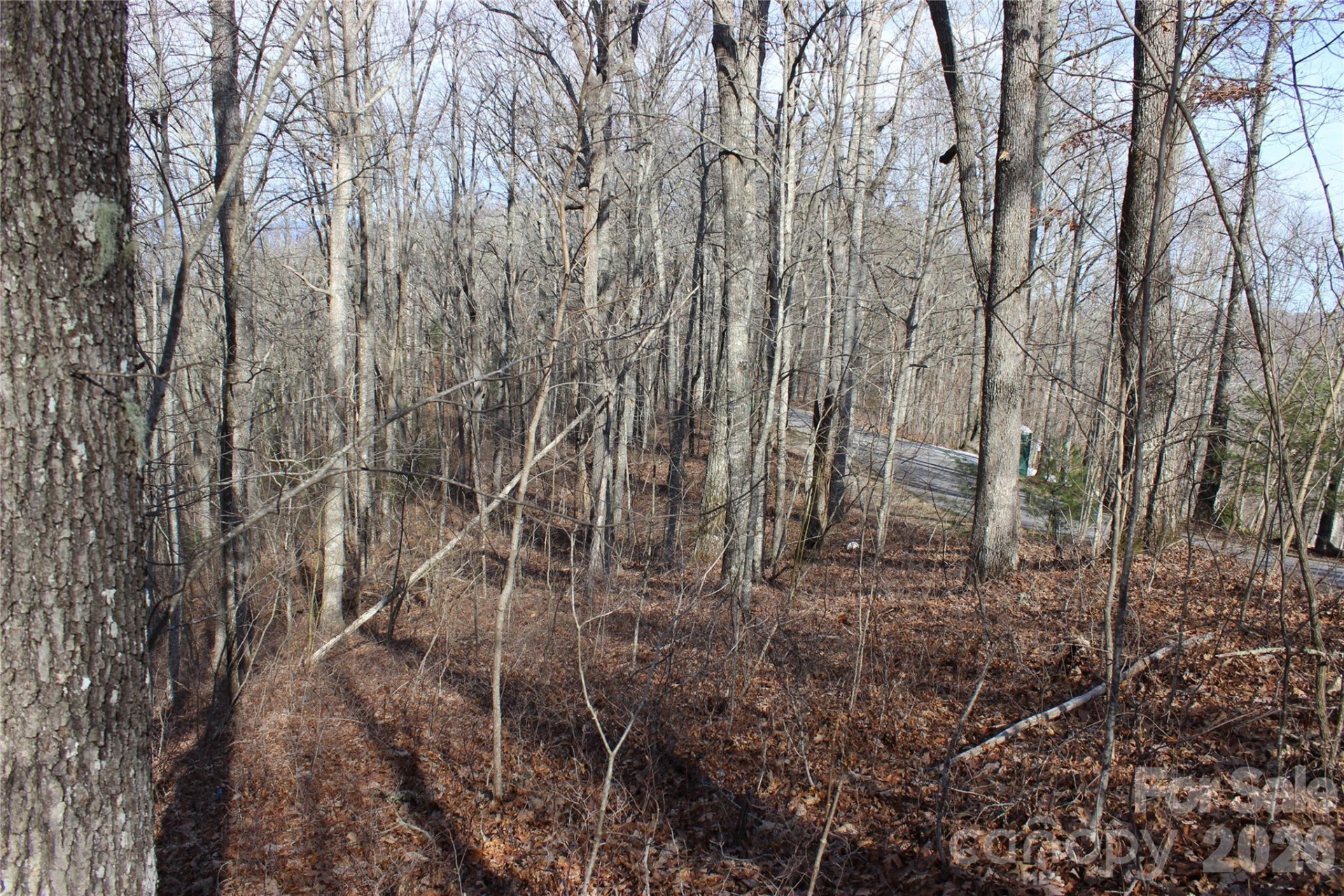 Lot 84 Waterdance Drive - Photo 3