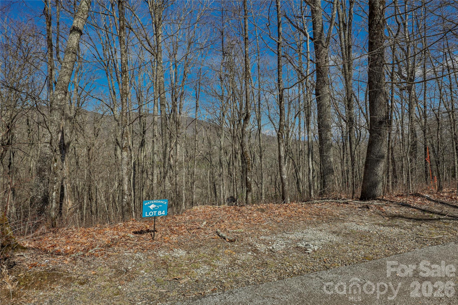 Lot 84 Waterdance Drive - Photo 4
