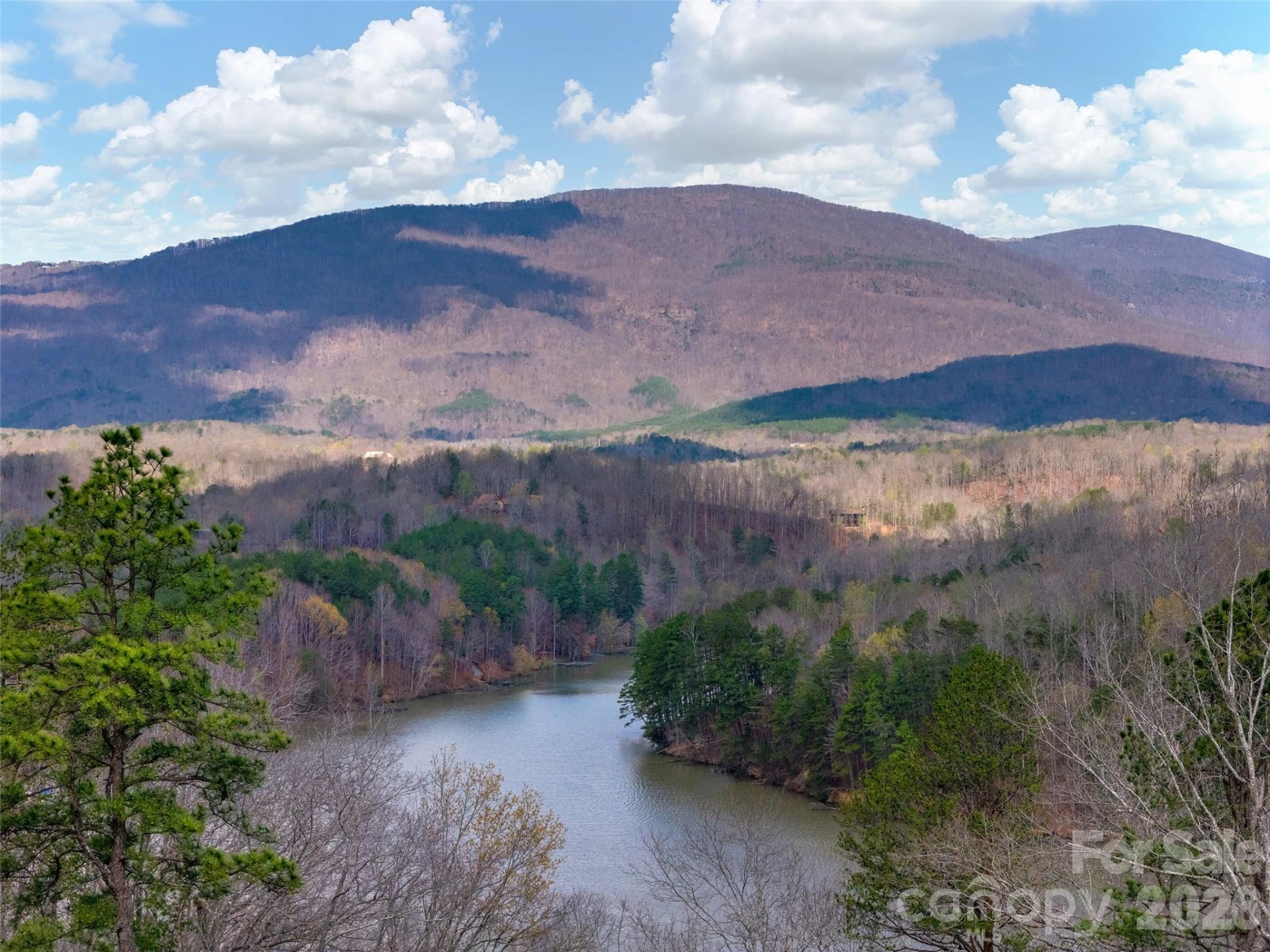 3244 Lake Adger Parkway - Photo 2