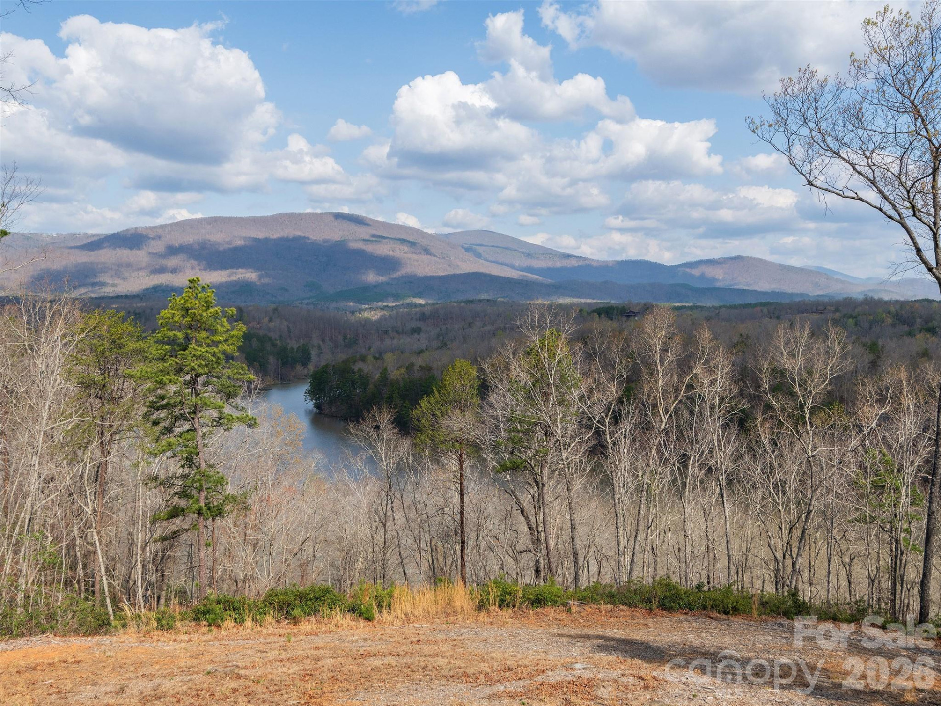 3244 Lake Adger Parkway - Photo 33