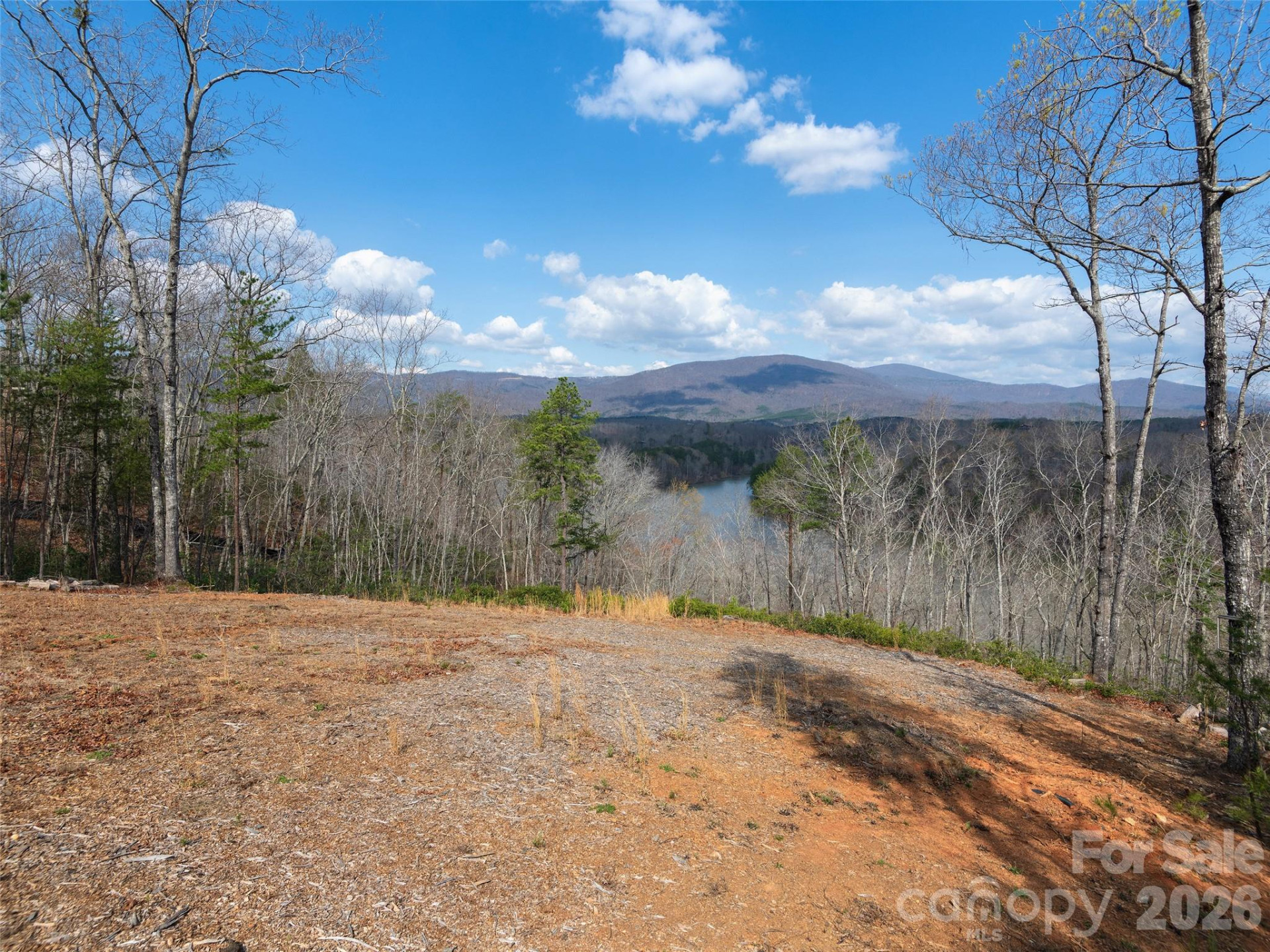 3244 Lake Adger Parkway - Photo 34