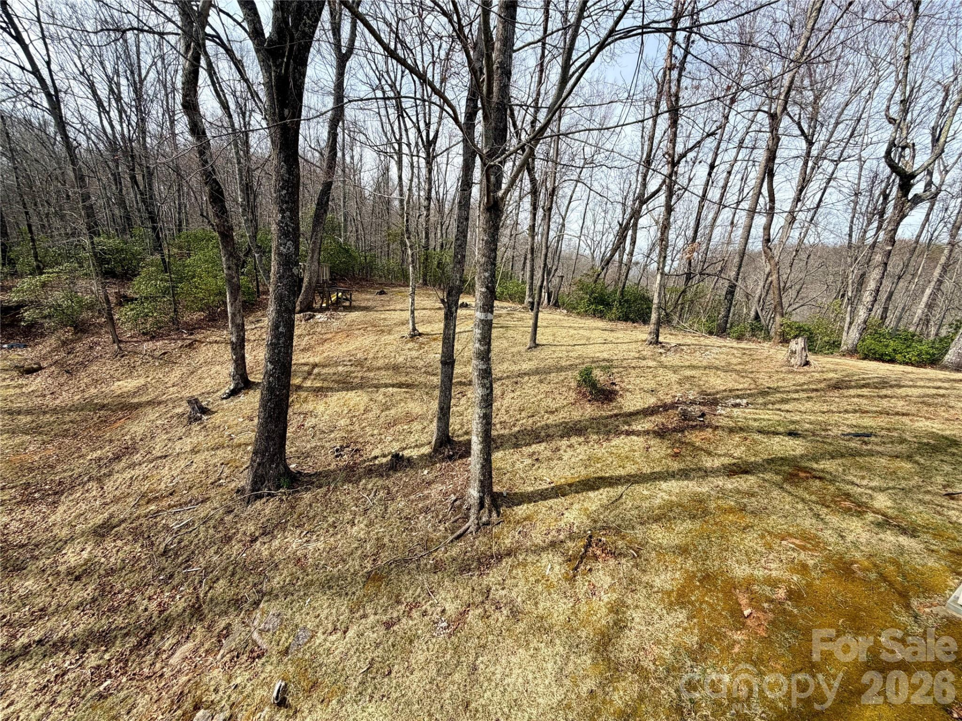 288 Willow Lane - Photo 5