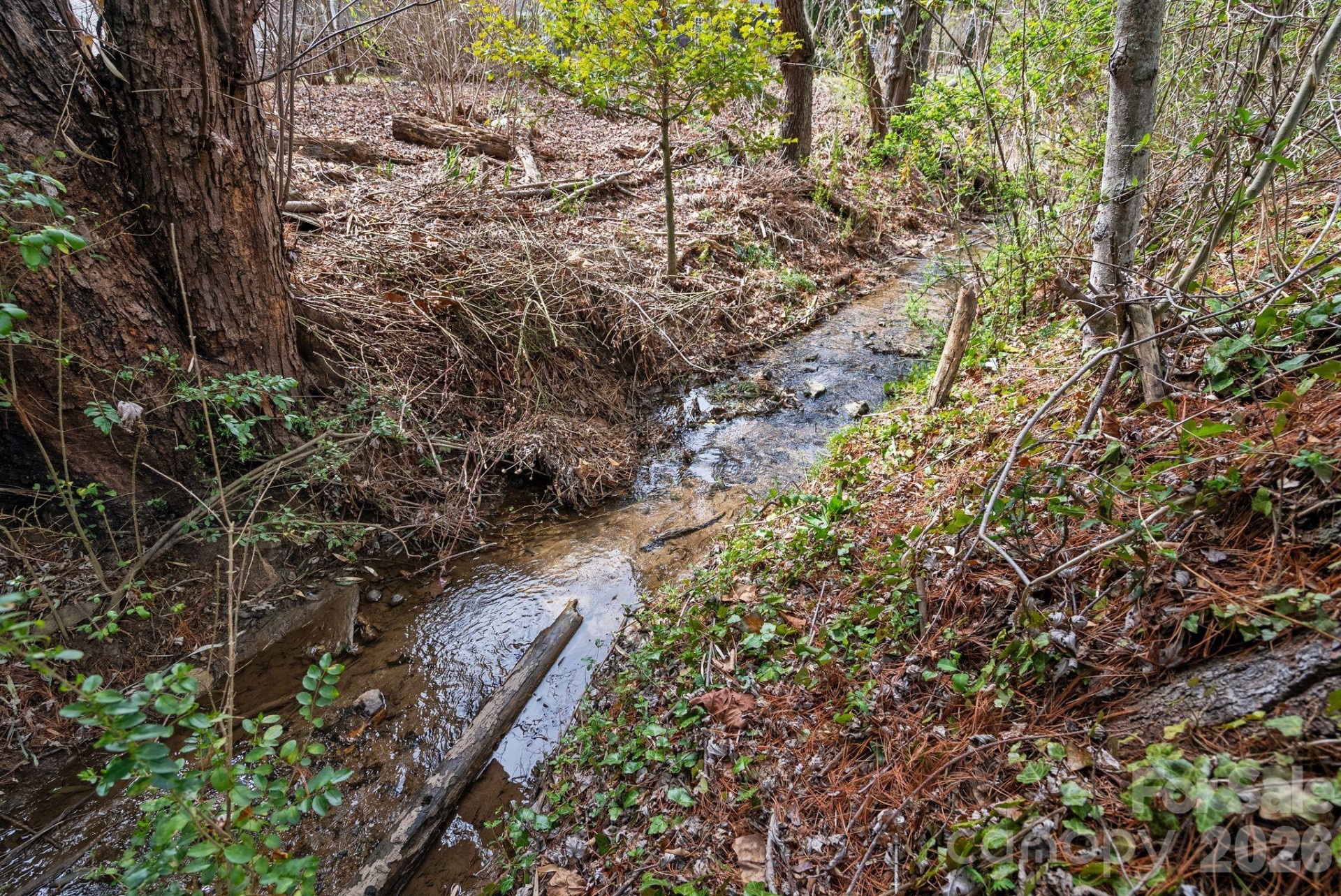 212 Holtzclaw Street #PT # 14-15 - Photo 48