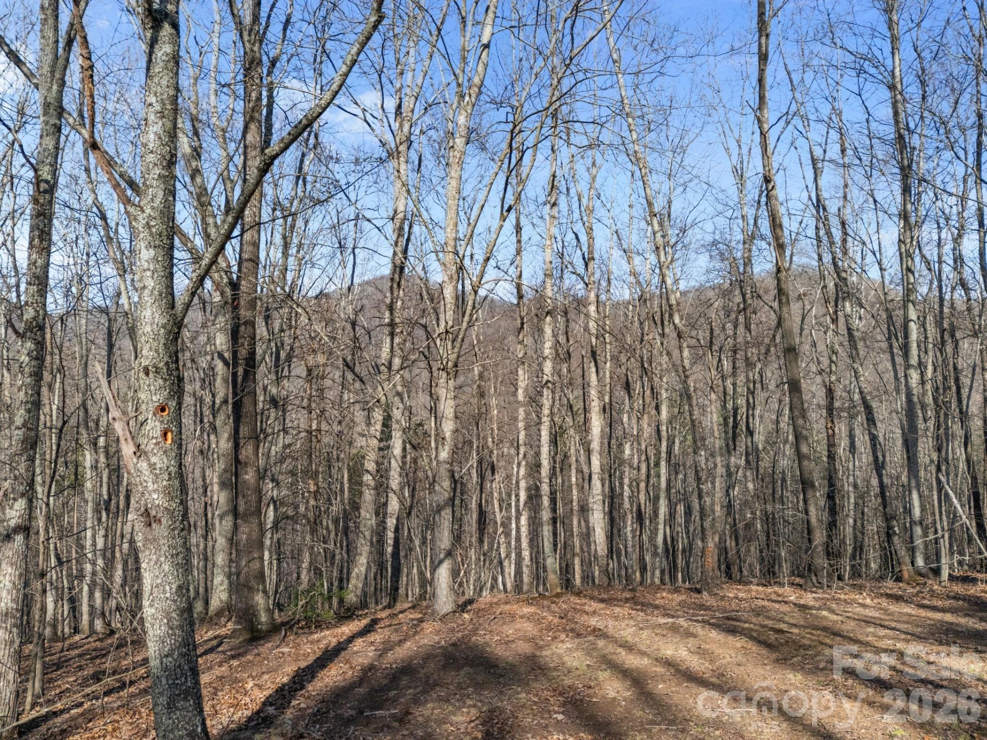 9999 Hidden Cove Road - Photo 2