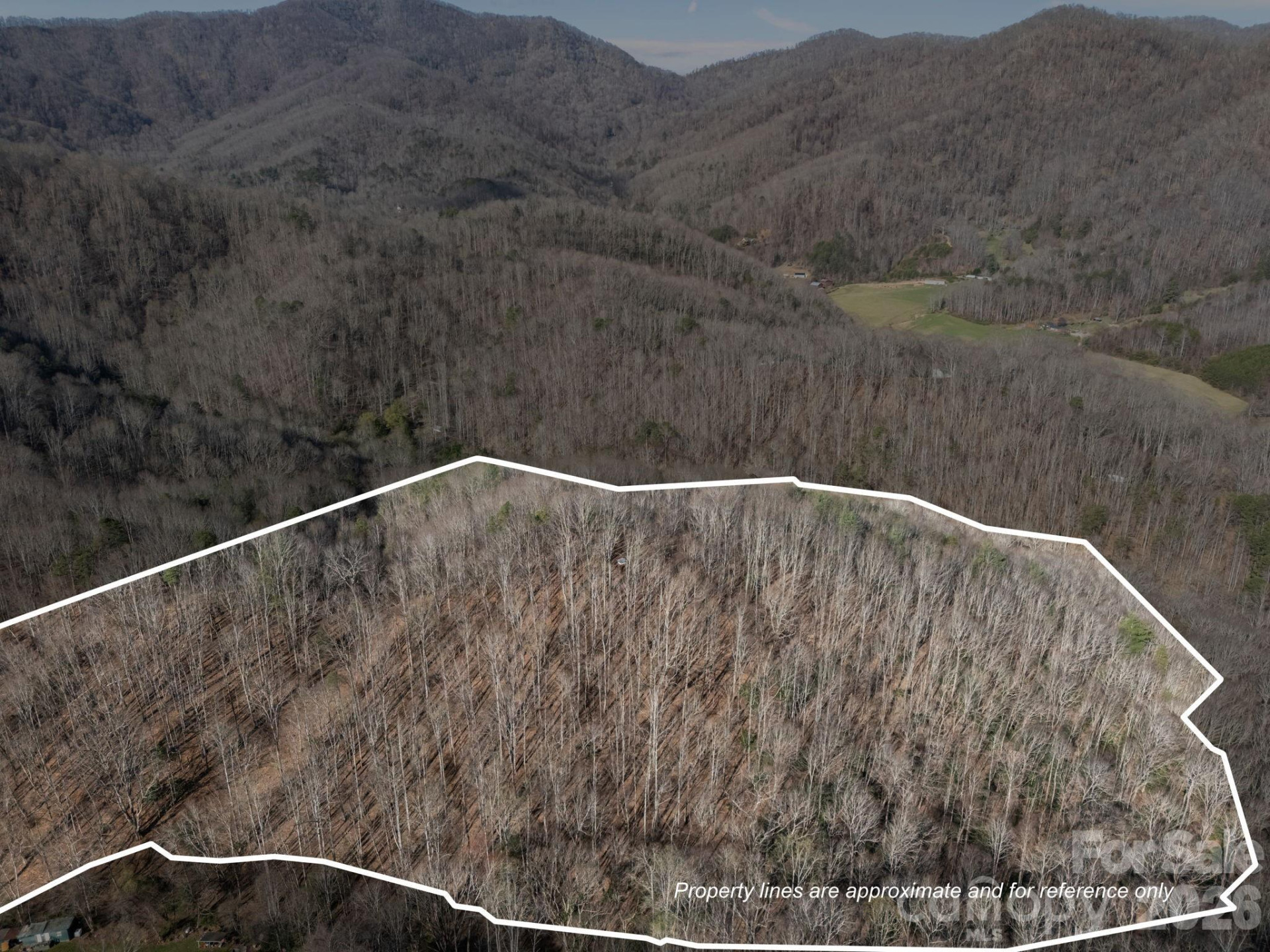 9999 Hidden Cove Road - Photo 11