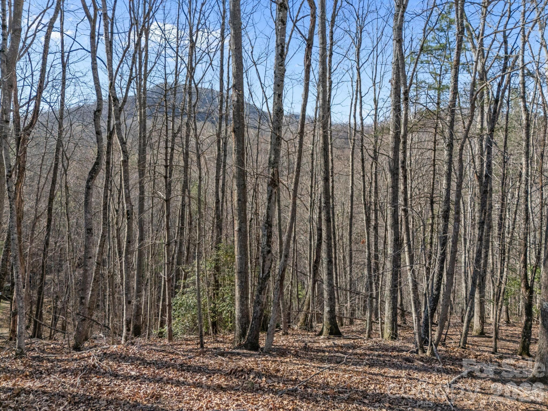 9999 Hidden Cove Road - Photo 3